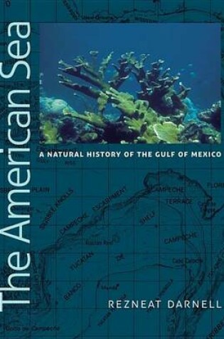 Cover of The American Sea