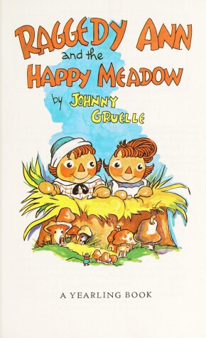 Book cover for Raggedy-Happy Meadow