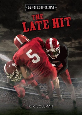 Book cover for The Late Hit