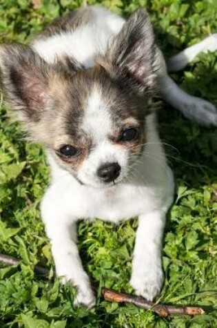 Cover of Chihuahua Puppy Relaxing Journal