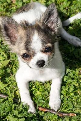 Book cover for Chihuahua Puppy Relaxing Journal