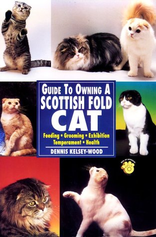 Book cover for Guide to Owning a Scottish Fold Cat