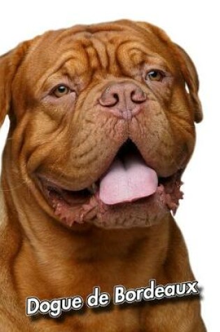 Cover of Dogue de Bordeaux