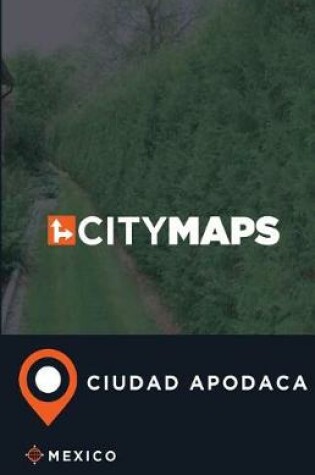 Cover of City Maps Ciudad Apodaca Mexico