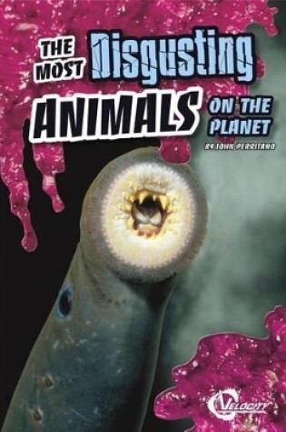 Cover of The Most Disgusting Animals on the Planet