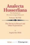 Book cover for The Divine in Husserl and Other Explorations