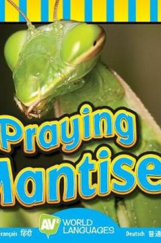 Cover of Praying Mantises