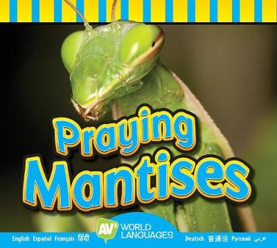 Book cover for Praying Mantises