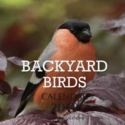 Book cover for Backyard Birds Calendar 2019