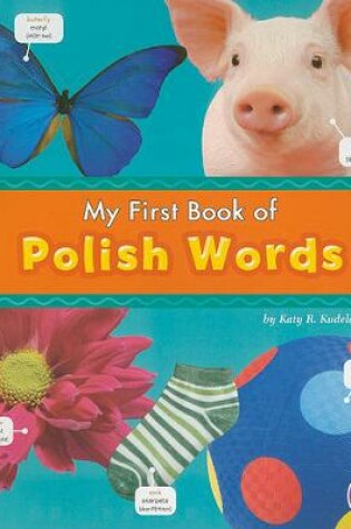 Cover of MyFirst Book of Polish Words