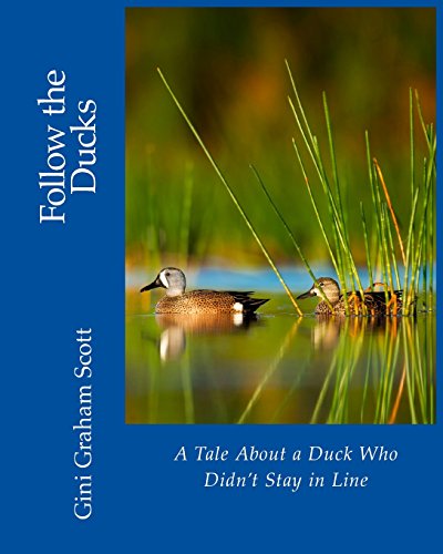 Book cover for Follow the Ducks