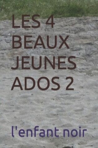 Cover of Les 4 Beaux Jeunes Ados 2