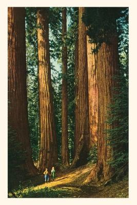Book cover for The Vintage Journal Sequoia Trees