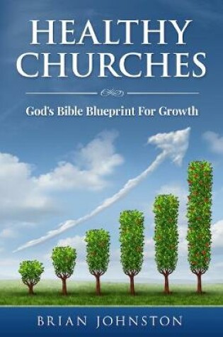 Cover of HEALTHY CHURCHES: