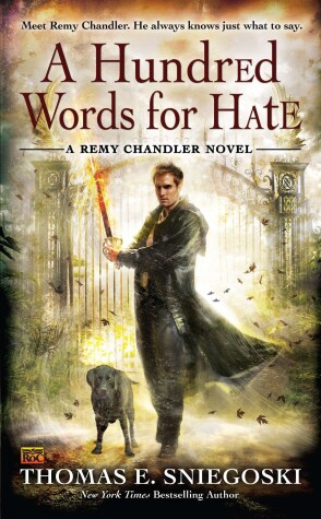 Book cover for A Hundred Words For Hate