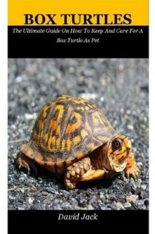 Cover of Box Turtles