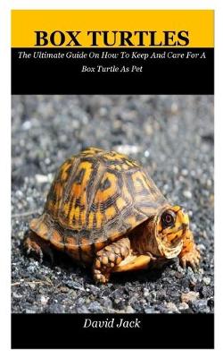 Book cover for Box Turtles