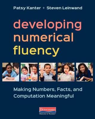 Book cover for Developing Numerical Fluency