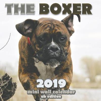 Book cover for The Boxer 2019 Mini Wall Calendar (UK Edition)