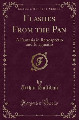 Book cover for Flashes from the Pan