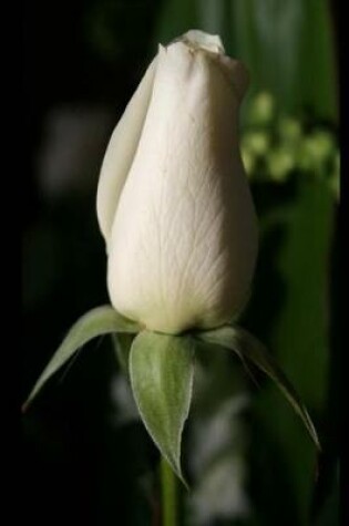 Cover of Journal Flower Pretty White Rosebud