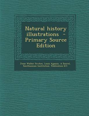 Book cover for Natural History Illustrations - Primary Source Edition