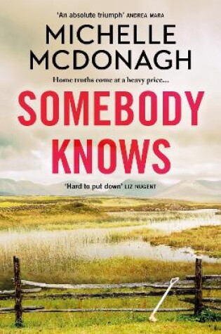 Cover of Somebody Knows