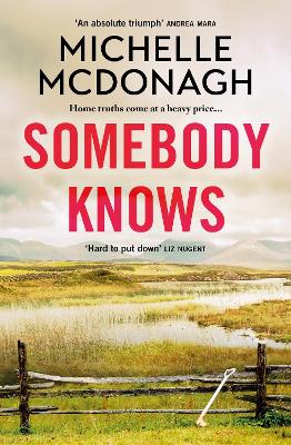 Book cover for Somebody Knows