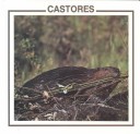Cover of Castores
