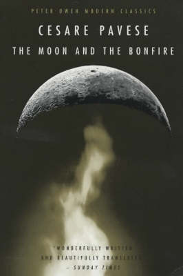 Book cover for Moon and the Bonfire