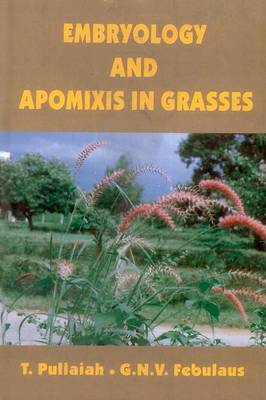 Book cover for Embryology and Apomixis in Grasses