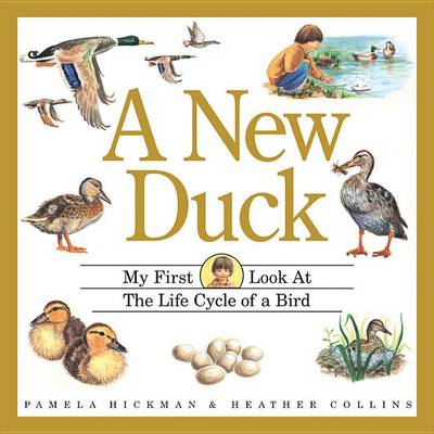 Book cover for New Duck