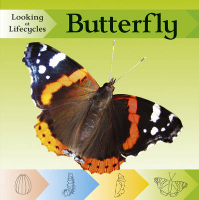 Cover of Butterfly