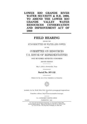 Book cover for Lower Rio Grande River water security & H.R. 2990, to amend the Lower Rio Grande Valley Water Resources Conservation and Improvement Act of 2000