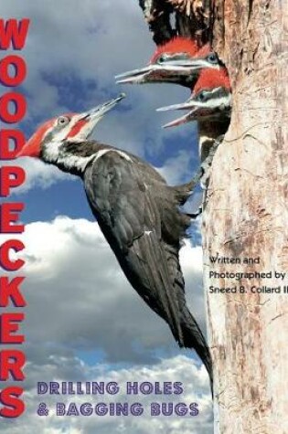 Cover of Woodpeckers