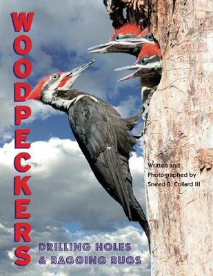 Book cover for Woodpeckers