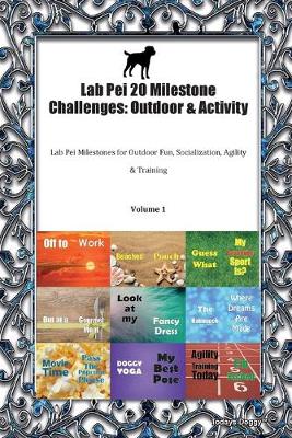 Book cover for Lab Pei 20 Milestone Challenges