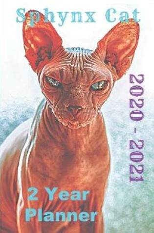 Cover of Sphynx Cat 2020 - 2021 2 Year Planner