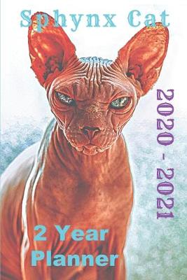 Book cover for Sphynx Cat 2020 - 2021 2 Year Planner
