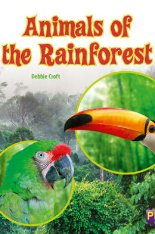 Cover of Animals of the Rainforest