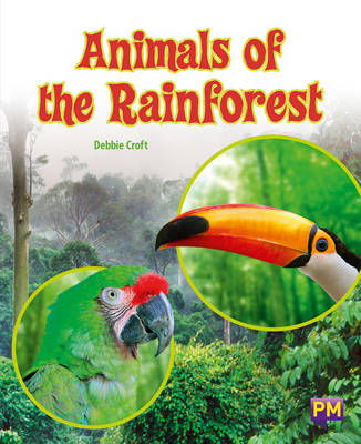 Book cover for Animals of the Rainforest