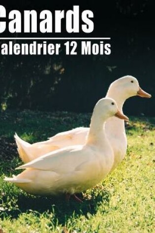 Cover of Calendrier 2021 Canards