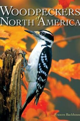 Cover of Woodpeckers of North America