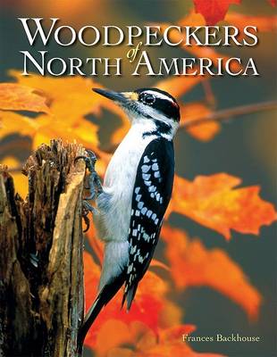 Book cover for Woodpeckers of North America