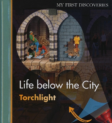 Book cover for Life Below the City