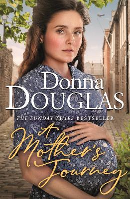 Cover of A Mother's Journey