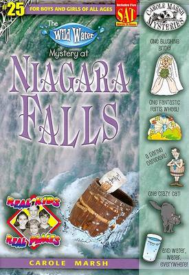 Book cover for The Wild Water Mystery of Niagra Falls
