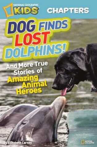 Cover of Dog Finds Lost Dolphins