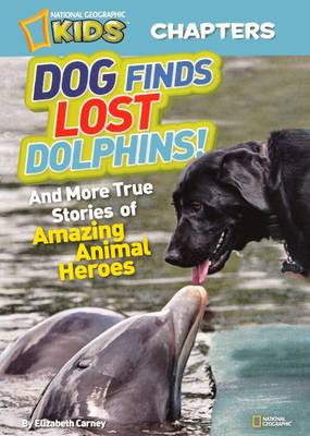Book cover for Dog Finds Lost Dolphins