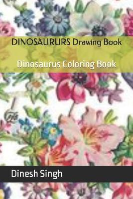 Book cover for DINOSAURURS Drawing Book